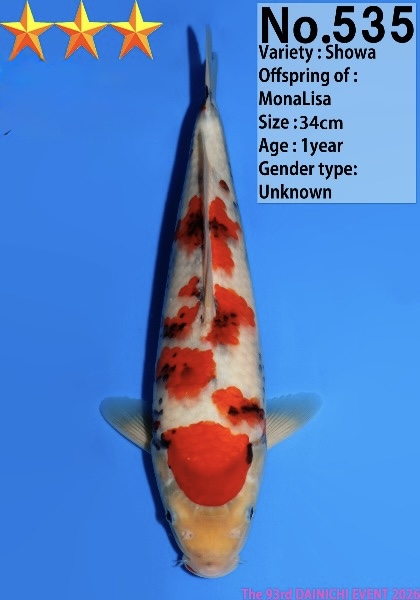 Dain04    Dainichi   Showa   VERKAUFT