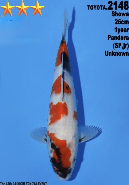 DToy028 Dainichi Toyota Showa 26cm