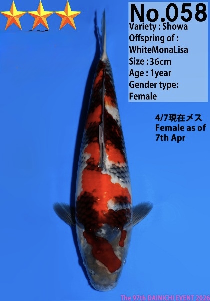 Dain56    Dainichi     Showa   36m    Res.