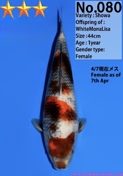 Dain57    Dainichi     Showa   44m